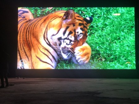 赤壁市三國小學(xué)-戶外P5-55.7㎡