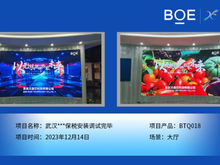 武漢***保稅區(qū)大廳BTQ018安裝調試完畢