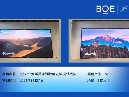 武漢***大學(xué)黃家湖校區(qū)安裝調(diào)試完畢